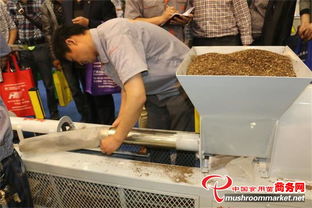 2014中国郑州全国食用菌新产品新技术博览会 引领食用农产品研发新风向