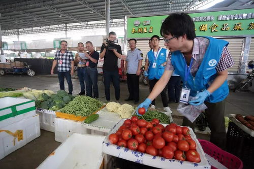 人大代表政协委员现场见证，食用农产品抽检合格率百分百的背后