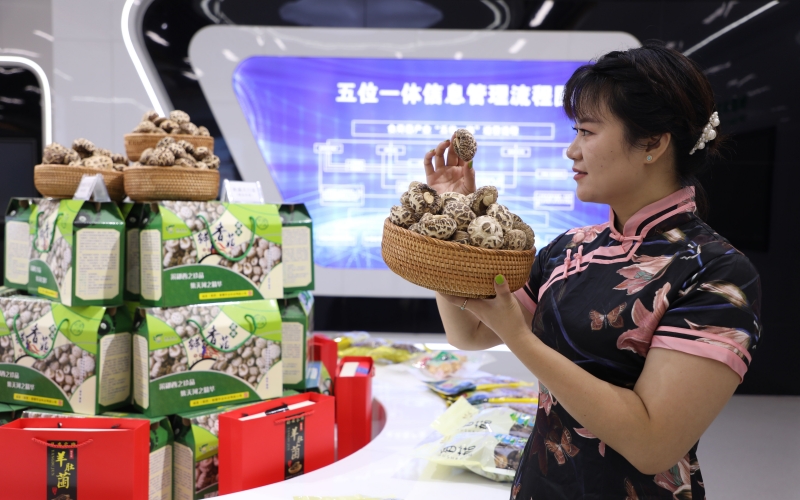 湖北郧西 五大百亿产业集群“顶起”工业经济，食用农产品研发赋能乡村振兴