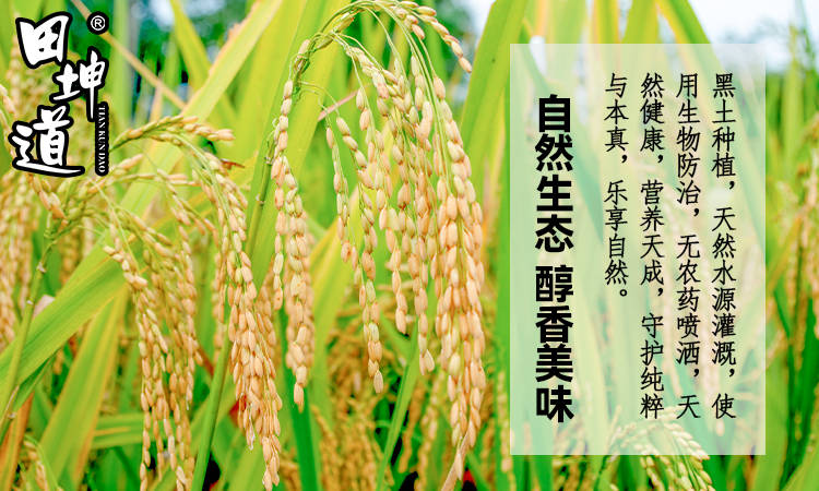 田坤道 深耕食用农产品研发，于平凡中铸就非凡财富