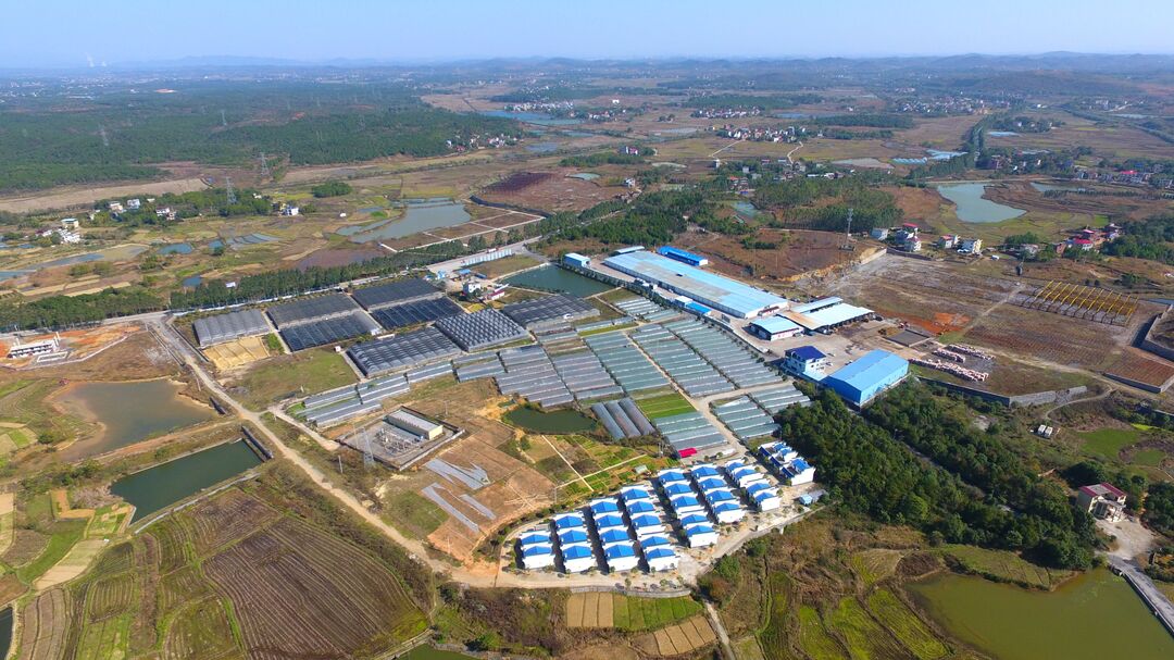 东安 立足特色资源，以科技研发驱动现代农业与食用农产品产业高质量发展