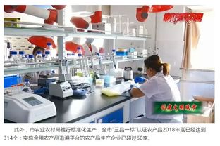 市农业农村局多措并举 助力文明城市创建 保障食用农产品质量安全与充足供应