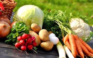 六旬夫妻的二亩菜园奇迹 从田间到餐桌的食用农产品研发致富路