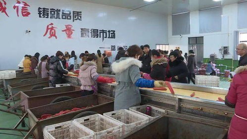 全省农产品质量安全追溯体系暨食用农产品合格证制度培训班在我县开班 助力食用农产品研发提质增效